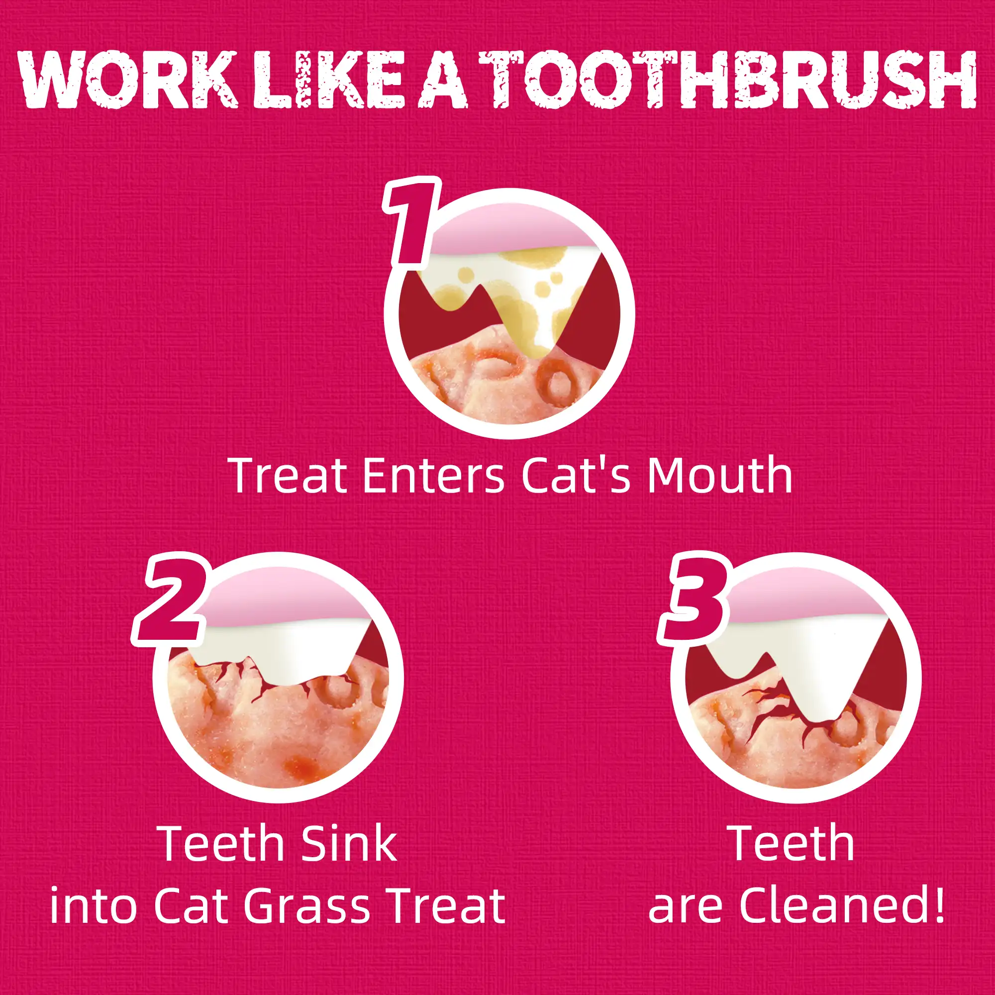 JUSTTRY Cranberry Cat Treats –Cranberry & D-Mannose for Urinary Tract Health & Kidney Support，13.4oz-CritterCorner