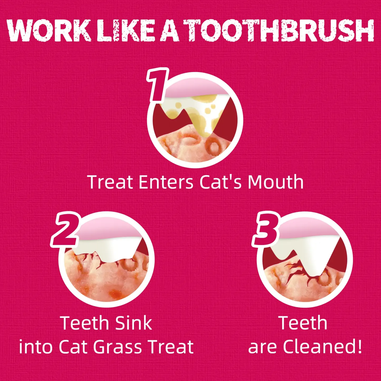 JUSTTRY Cranberry Cat Treats –Cranberry & D-Mannose for Urinary Tract Health & Kidney Support，13.4oz-CritterCorner