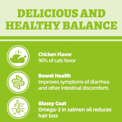 Wellix Probiotic Treats for Cats – 13.5oz Chicken-Flavored Biscuits with FOS & Inulin, Supports Digestive System & Immune Health-CritterCorner