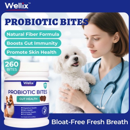 Wellix Probiotics for Dogs - Dog Probiotics & Prebiotics with Pumpkin for Digestive Health, Allergy & Itchy Skin Relief - Natural Gut Health Supplement - 260 Bites-CritterCorner