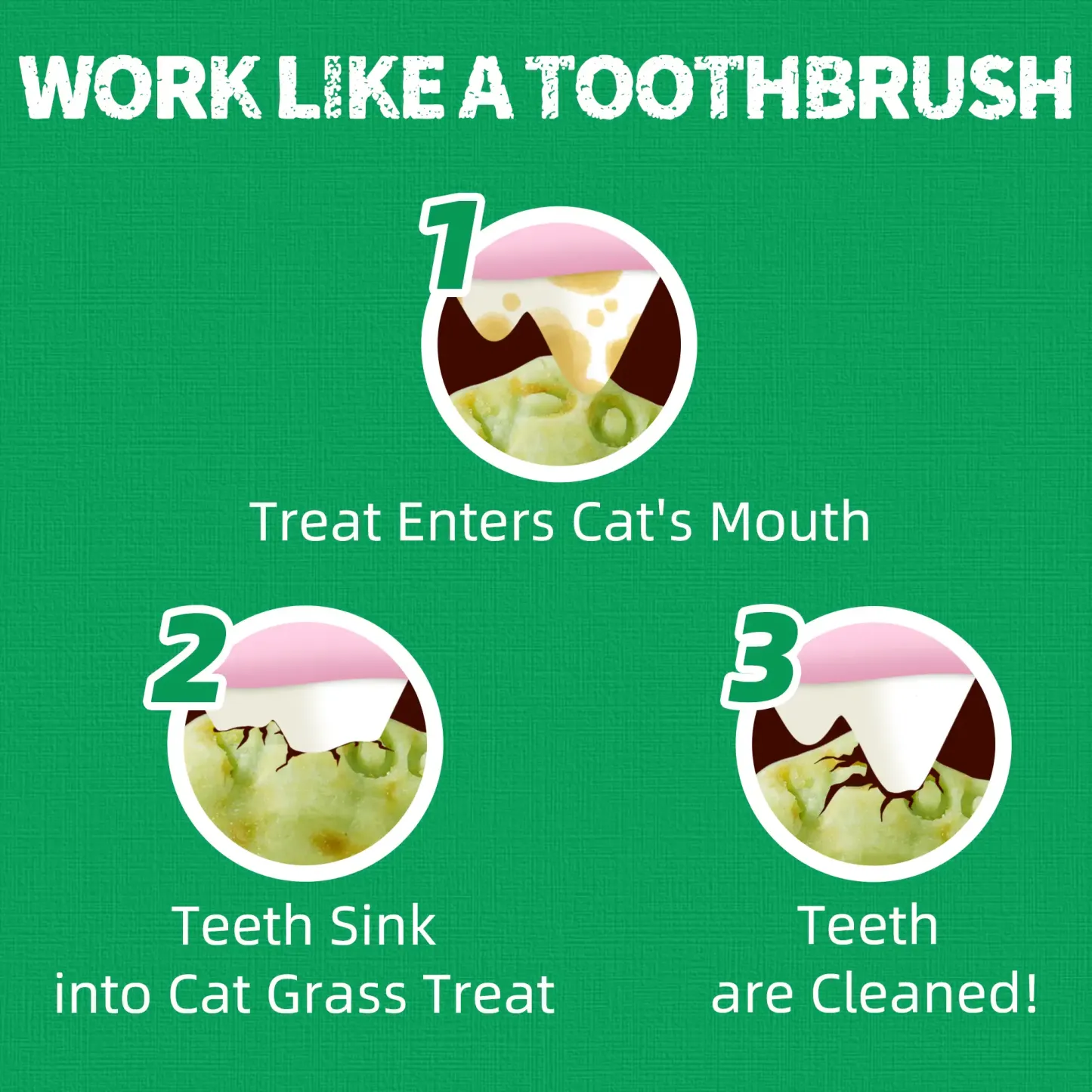 JUSTTRY Catnip Cat Treats – Chicken-Flavored Training Biscuits for Dental Health & Hairball Control, 13.4oz-CritterCorner