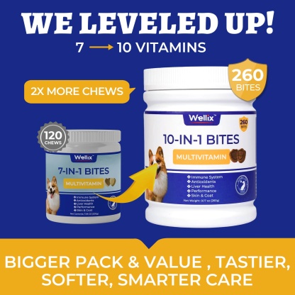 Wellix 10-in-1 Dog Vitamins - Multivitamin Supplement for Immune Support, Hip & Joint, Skin & Coat, Liver & Gut Health - Antioxidant Dog Supplement - 260 Bites-CritterCorner