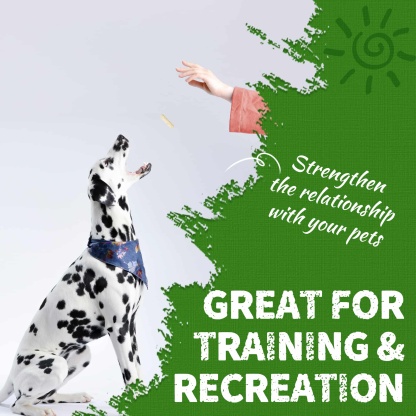 JUSTTRY Freeze-Dried Cat Grass Teething Sticks with Chicken – Natural Training Treats & Food Topper for Hairball Control, Teeth Cleaning & Dental Health, 6.34oz-CritterCorner