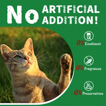 JUSTTRY Cat Grass Treats – Healthy Cat Snacks with Catnip for Hairball Relief & Dental Care, 13.4oz-CritterCorner