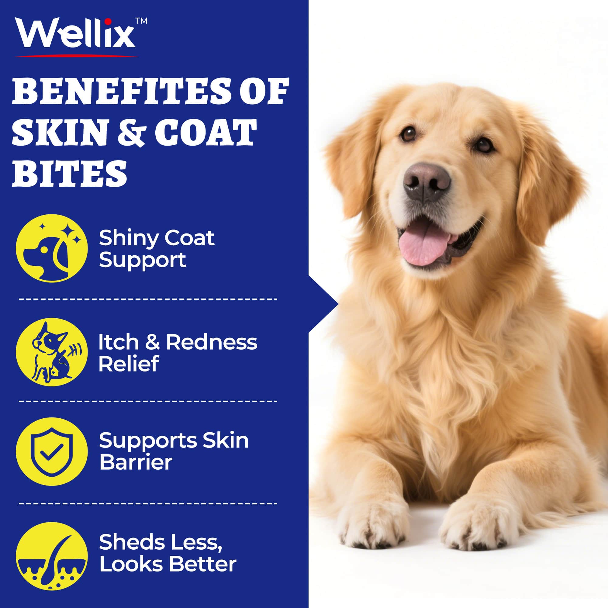 Wellix Dog Skin and Coat Supplement - Omega 3 Fish Oil for Dogs - Supports Skin & Coat, Itching Relief & Anti-Shedding - Tasty Allergy Chews - 260 Bites-CritterCorner