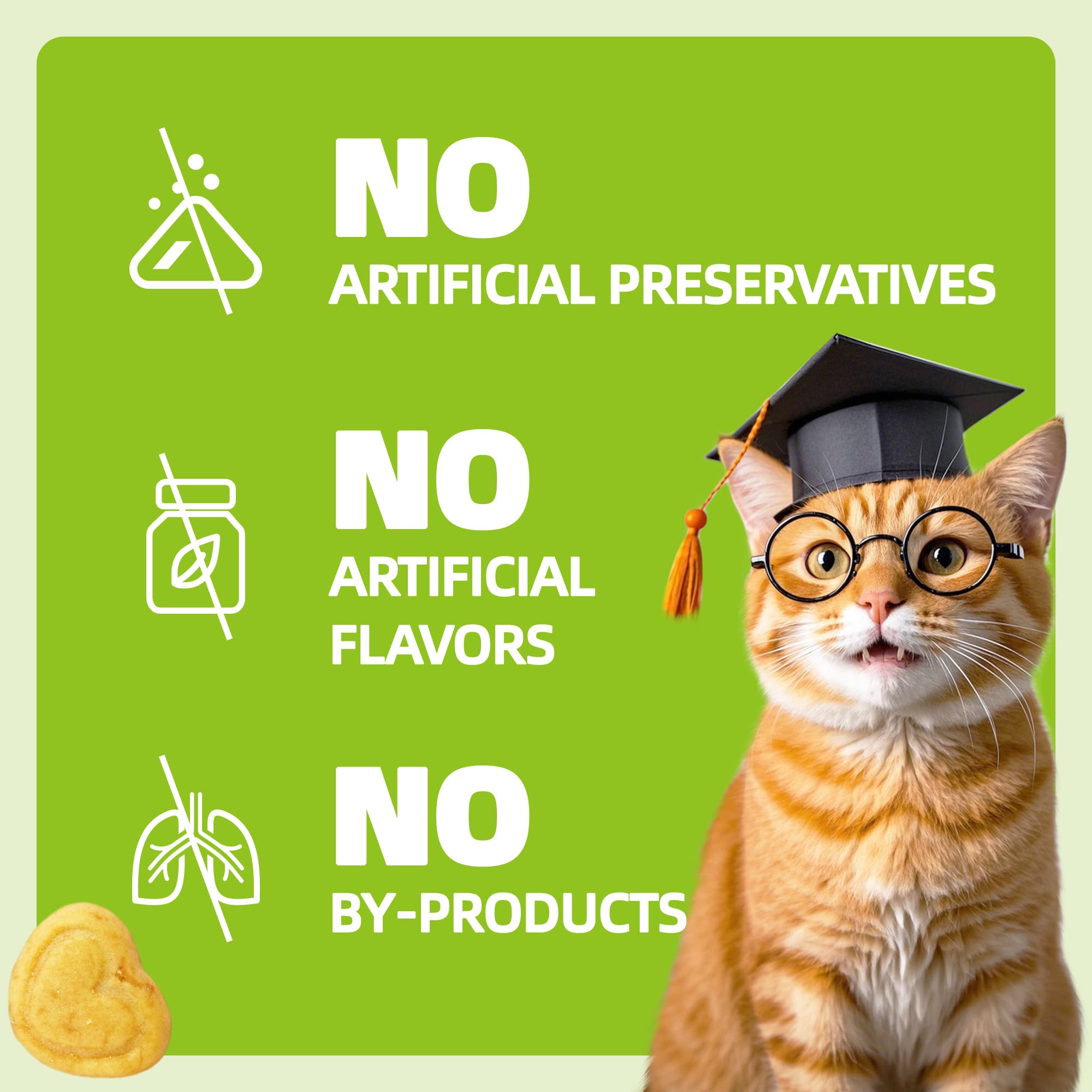 Wellix Probiotic Treats for Cats – 13.5oz Chicken-Flavored Biscuits with FOS & Inulin, Supports Digestive System & Immune Health-CritterCorner