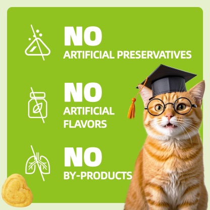 Wellix Probiotic Treats for Cats – 13.5oz Chicken-Flavored Biscuits with FOS & Inulin, Supports Digestive System & Immune Health-CritterCorner