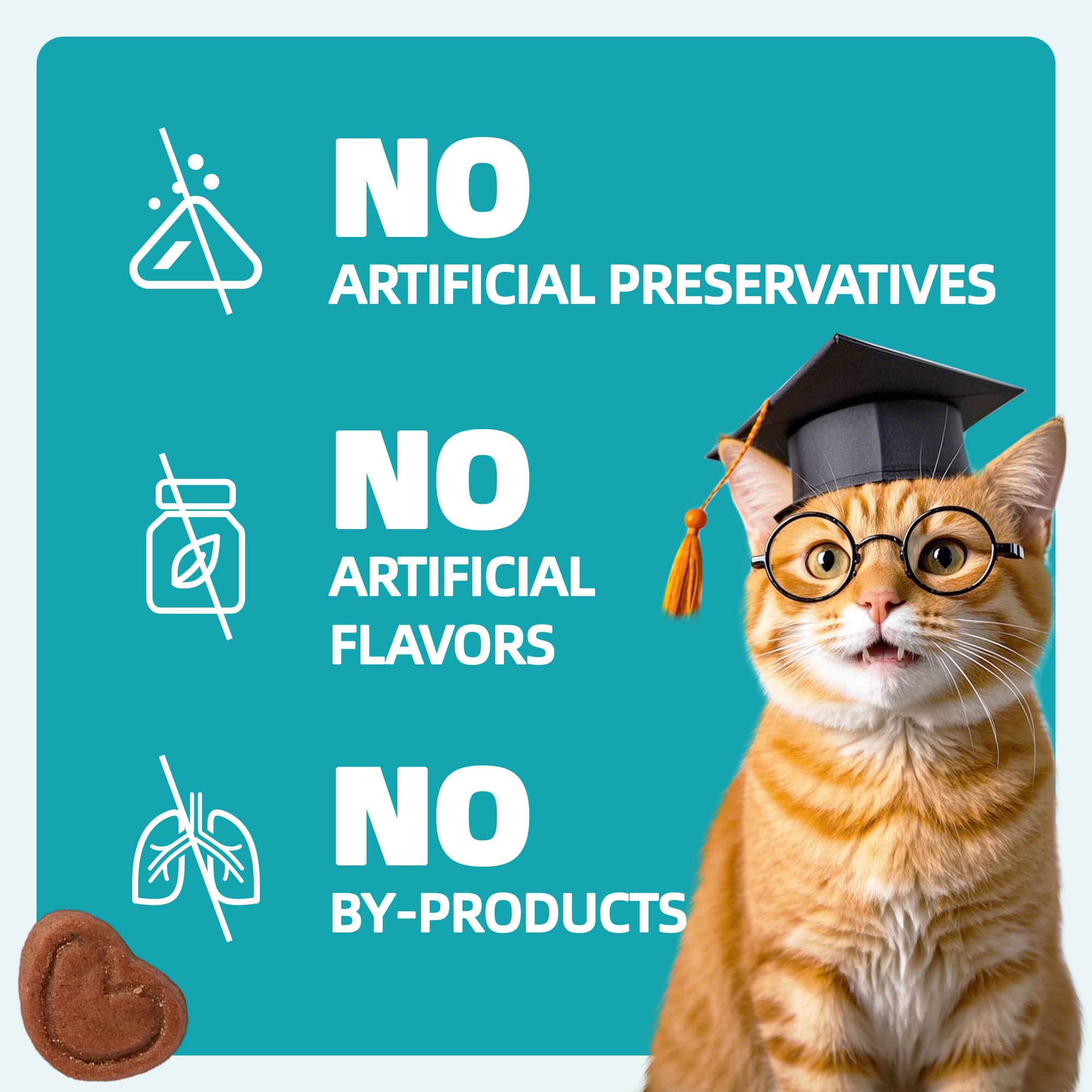 Wellix Urinary Tract Treats for Cats – 13.5oz Chicken-Flavored Biscuits with Dandelion & Cranberry, Supports Urinary Tract Health for Indoor Cats & Kittens-CritterCorner