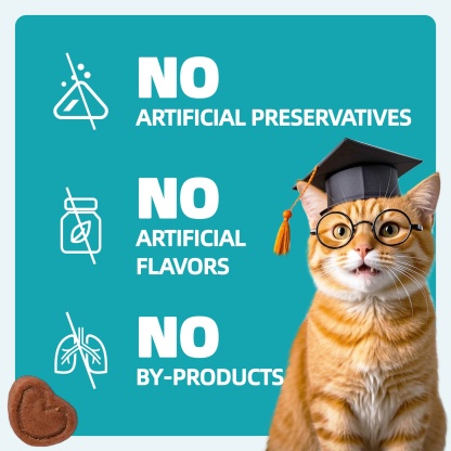 Wellix Urinary Tract Treats for Cats – 13.5oz Chicken-Flavored Biscuits with Dandelion & Cranberry, Supports Urinary Tract Health for Indoor Cats & Kittens-CritterCorner