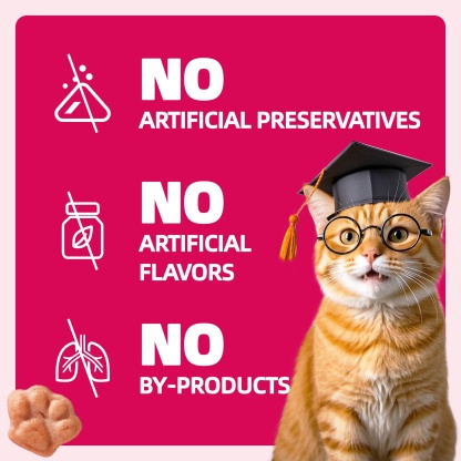 Wellix Cranberry Treats for Cats – 13.5oz Cranberry & Chicken Formula for Urinary Tract Health, Balance Urine pH-CritterCorner