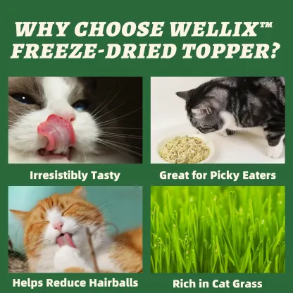Wellix Cat Grass Topper for Cats & Dogs – 7.05oz Freeze-Dried Chicken, Egg Yolk & Cat Grass, Low-Calorie, Supports Hairball Control & Gut Health-CritterCorner