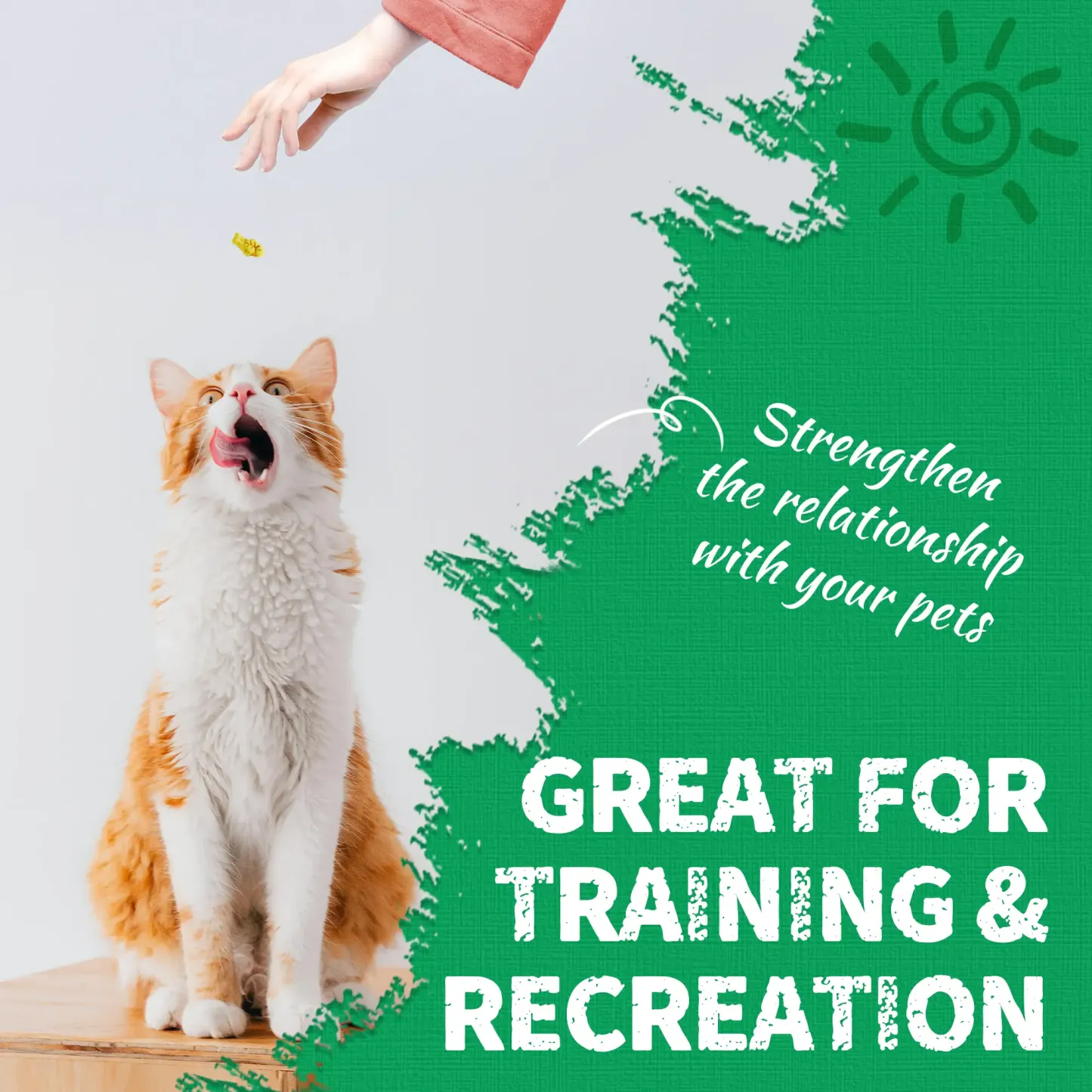 JUSTTRY Catnip Cat Treats – Chicken-Flavored Training Biscuits for Dental Health & Hairball Control, 13.4oz-CritterCorner