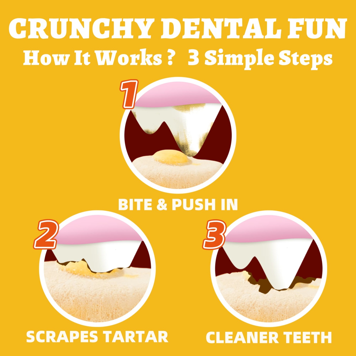 Wellix SunnyBites Freeze Dried Chicken Treats for Dogs and Cats - Healthy Egg & Chicken Snacks for Training - Supports Immunity & Gut Health - 3.5oz-CritterCorner