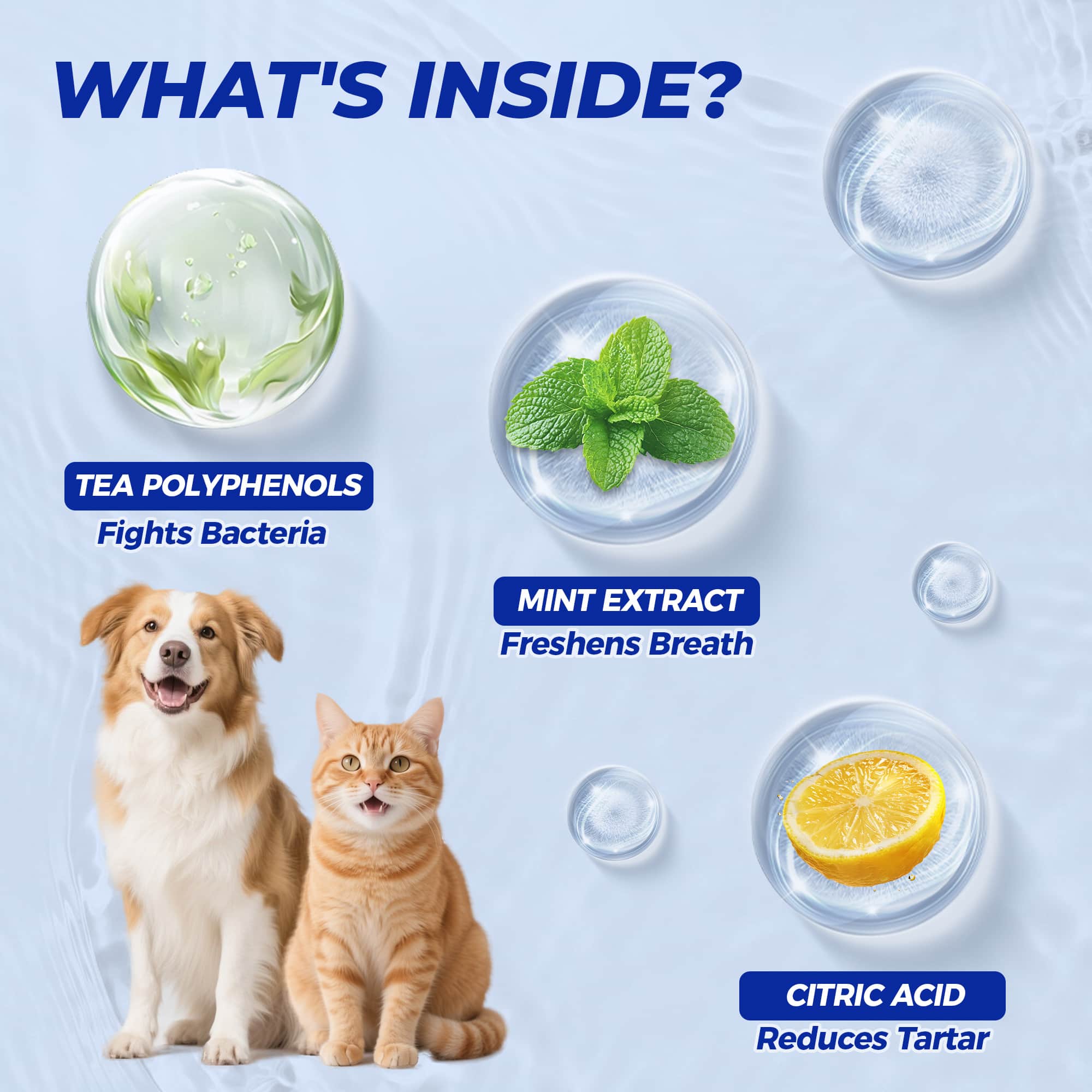 Wellix Pet Teeth Cleaning Wipes for Dogs and Cats - Natural Dental Care Finger Wipes to Reduce Plaque, Tartar & Bad Breath - No-Rinse Disposable 100 Count-CritterCorner