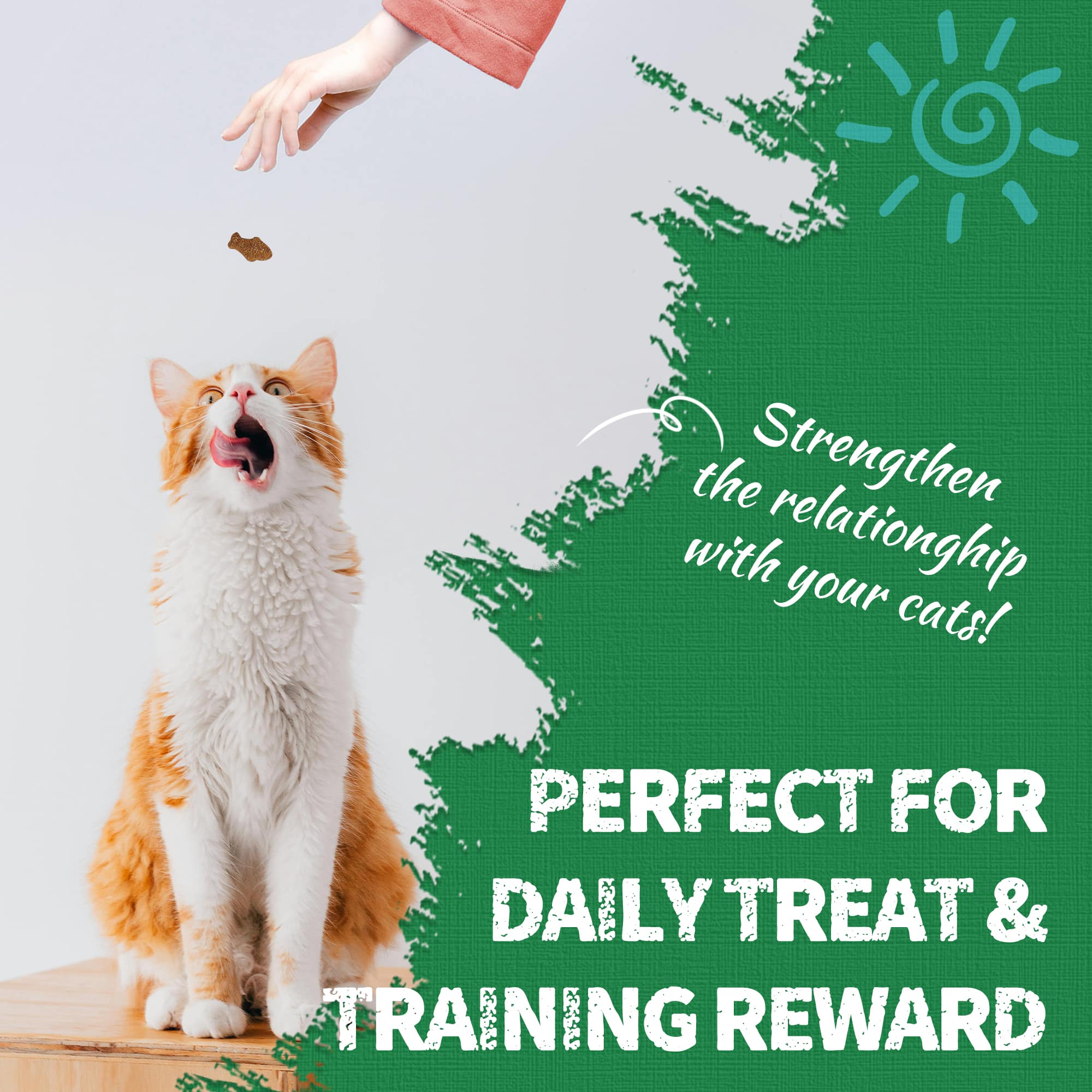 JUSTTRY Kale & Spinach Cat Treats – Gluten-Free Low-Calorie Snacks with Natural Chicken Flavor for Indoor Cats, 16oz-CritterCorner