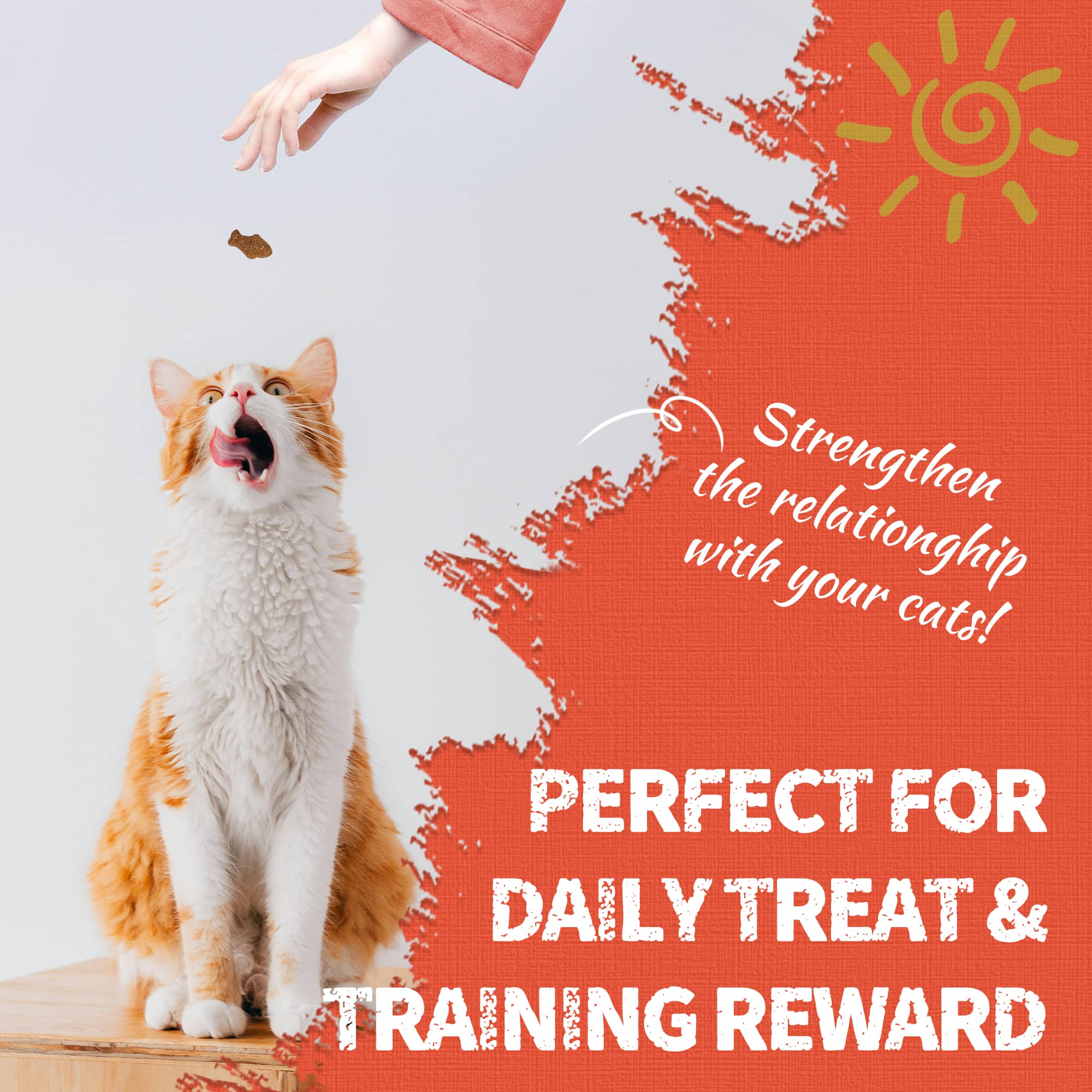 JUSTTRY Carrot Cat Treats – Vitamin-Rich Crunchy Biscuits with Natural Chicken Flavor for Eye & Skin Health | Healthy Training Treats for Indoor Cats, 16oz-CritterCorner