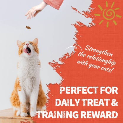 JUSTTRY Carrot Cat Treats – Vitamin-Rich Crunchy Biscuits with Natural Chicken Flavor for Eye & Skin Health | Healthy Training Treats for Indoor Cats, 16oz-CritterCorner