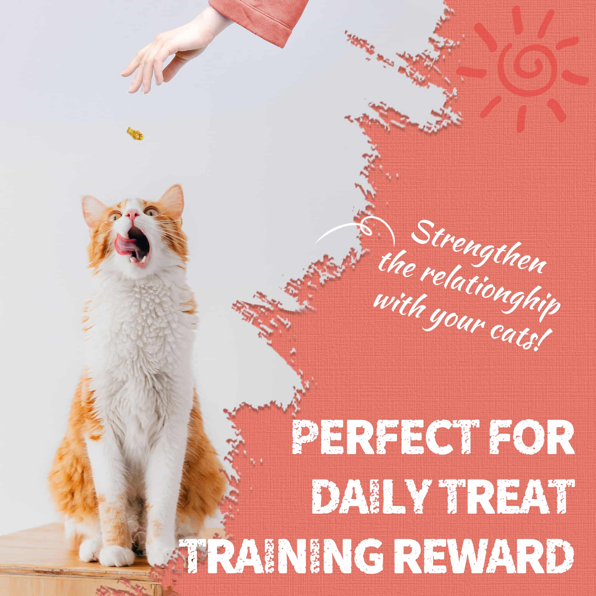 JUSTTRY Salmon Cat Treats – Crunchy Cat  Snacks Omega-3 for Joint, Skin, Coat & Dental Health | Training Treats for Indoor Cats, 16oz-CritterCorner