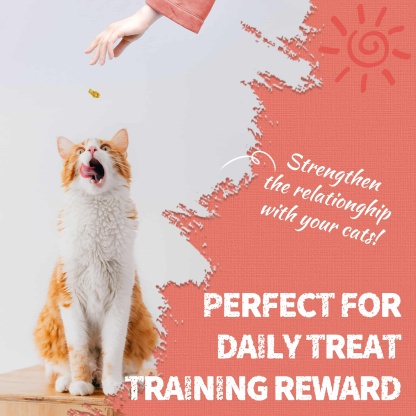 JUSTTRY Salmon Cat Treats – Crunchy Cat  Snacks Omega-3 for Joint, Skin, Coat & Dental Health | Training Treats for Indoor Cats, 16oz-CritterCorner