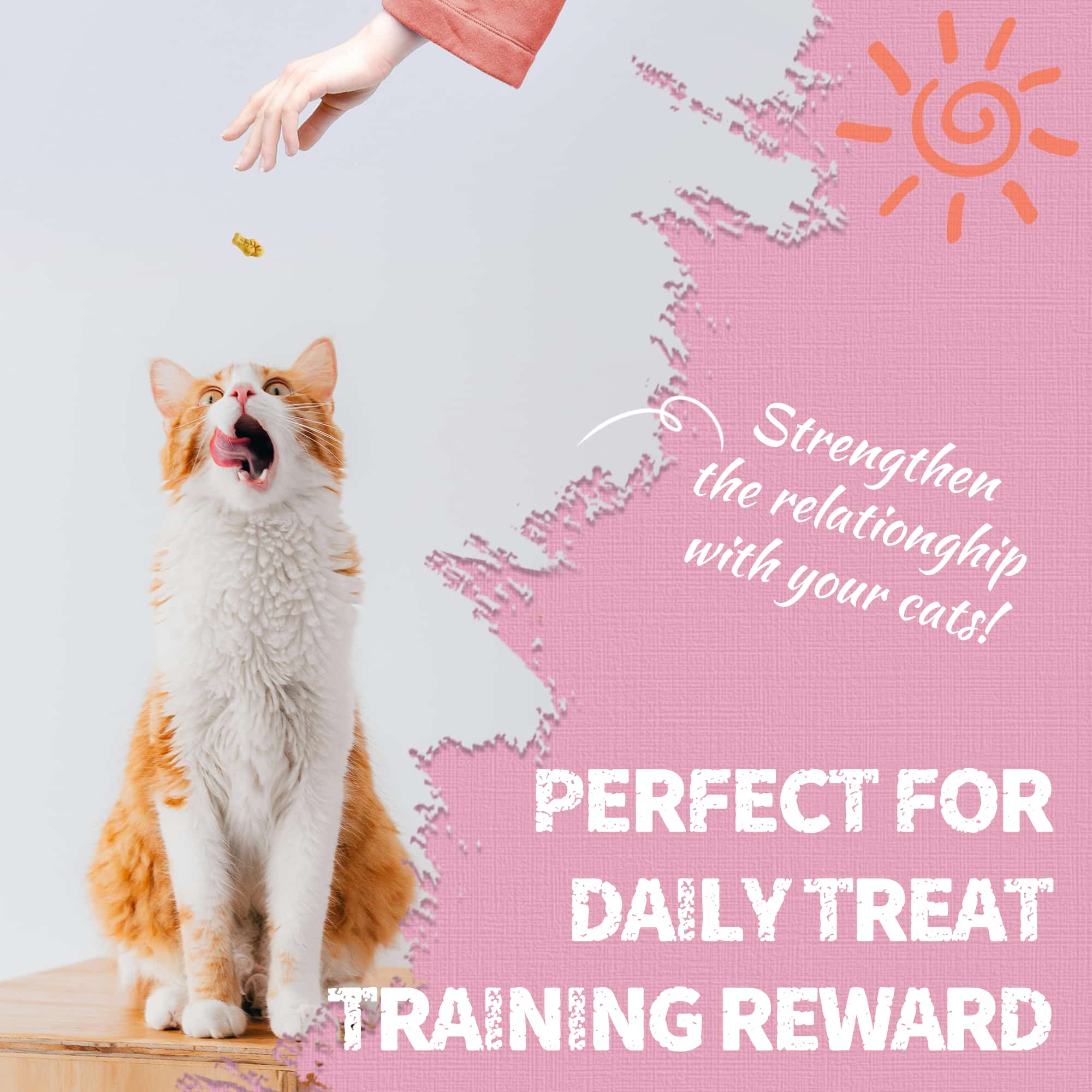 JUSTTRY Shrimp Cat Treats – Crunchy Snacks with Real Shrimp & Krill Oil, Omega-3 for Skin & Coat Training Snacks, 16oz-CritterCorner