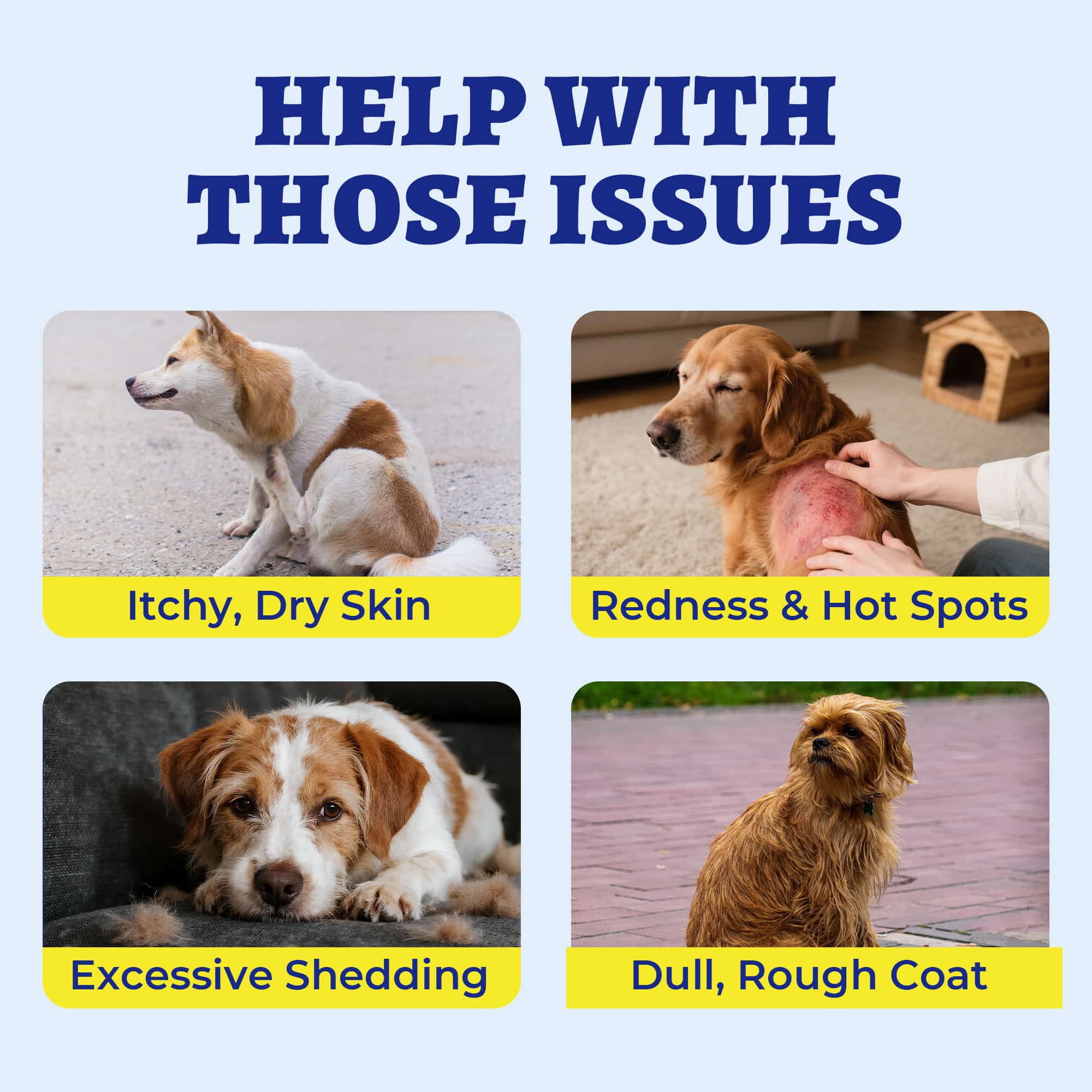 Wellix Dog Skin and Coat Supplement - Omega 3 Fish Oil for Dogs - Supports Skin & Coat, Itching Relief & Anti-Shedding - Tasty Allergy Chews - 260 Bites-CritterCorner