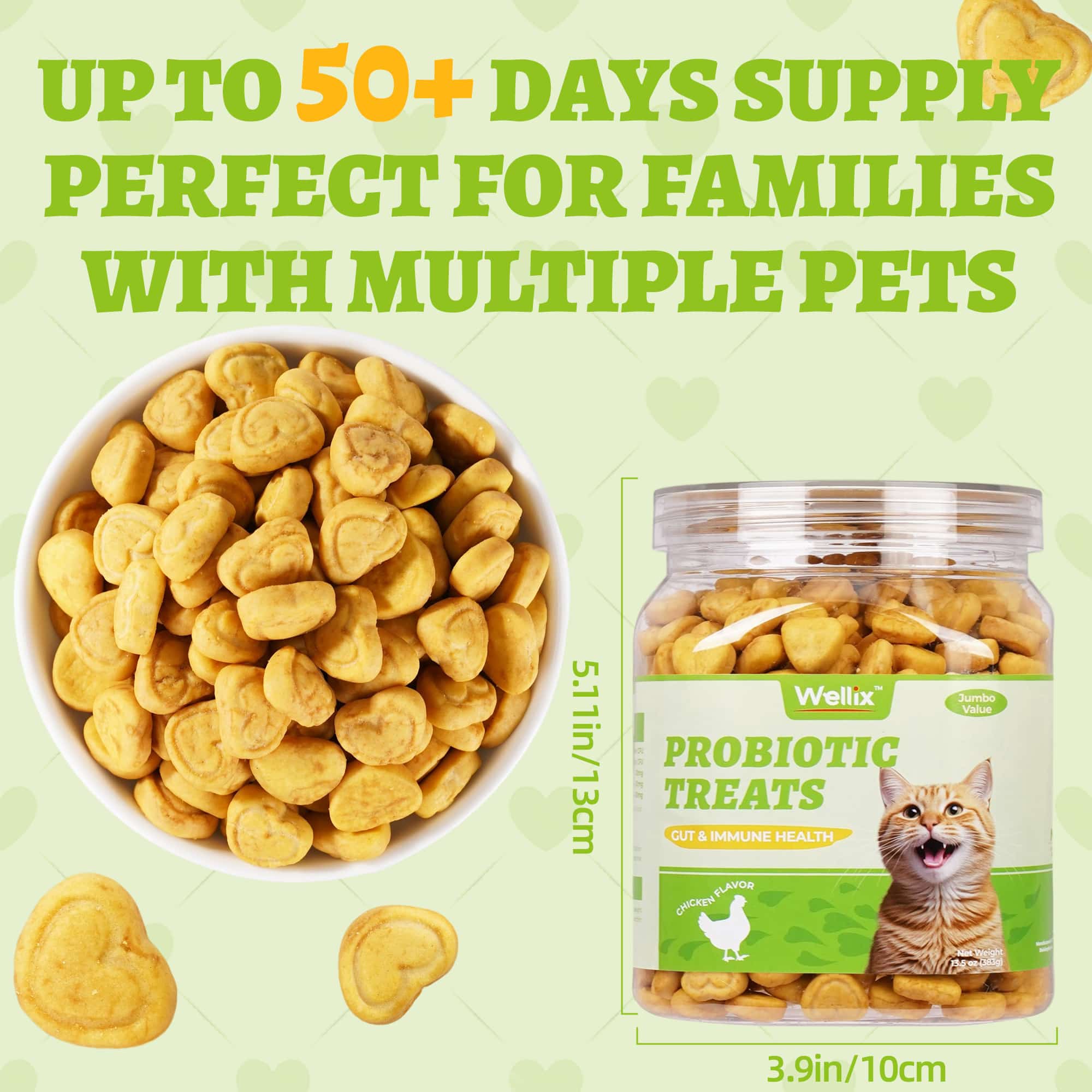 Wellix Probiotic Treats for Cats – 13.5oz Chicken-Flavored Biscuits with FOS & Inulin, Supports Digestive System & Immune Health-CritterCorner