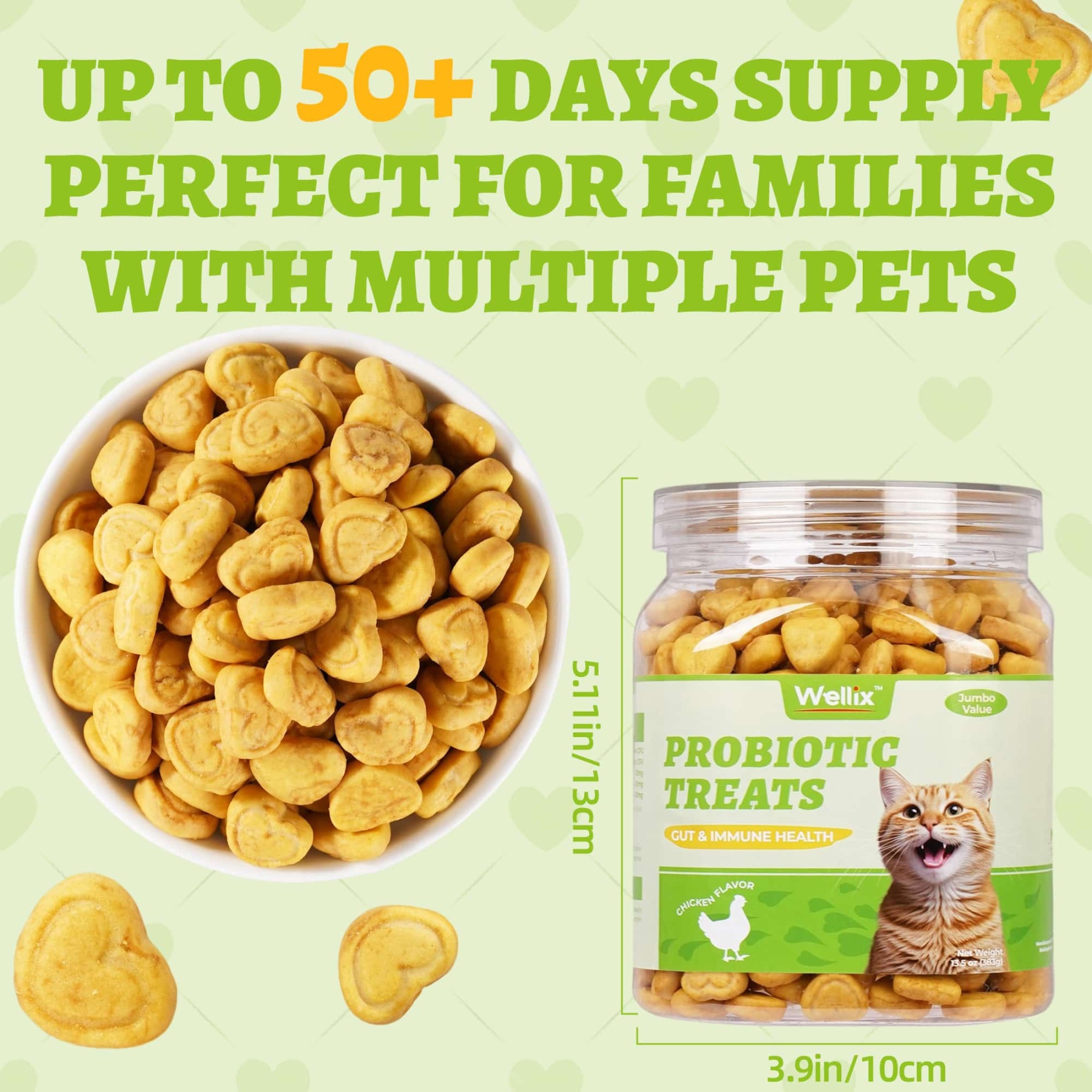 Wellix Probiotic Treats for Cats – 13.5oz Chicken-Flavored Biscuits with FOS & Inulin, Supports Digestive System & Immune Health-CritterCorner