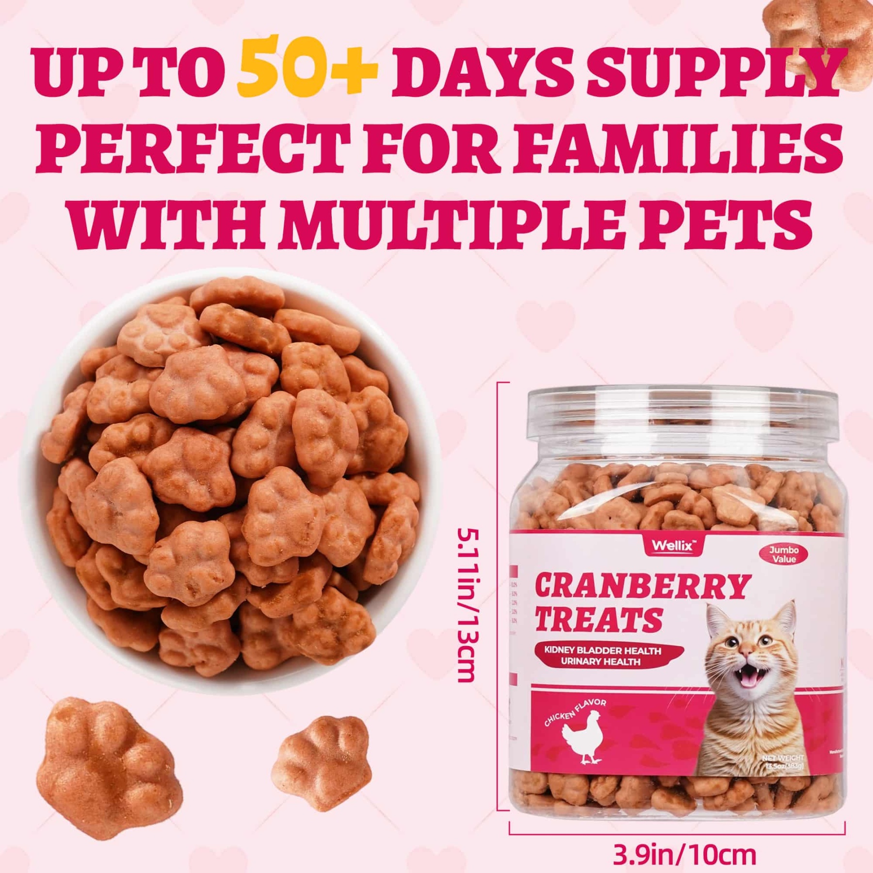 Wellix Cranberry Treats for Cats – 13.5oz Cranberry & Chicken Formula for Urinary Tract Health, Balance Urine pH-CritterCorner