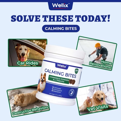 Wellix Calming Bites for Dogs – 260 Counts with Melatonin, L-Theanine & Valerian Root for Anxiety & Stress Relief, Puppies & Dogs-CritterCorner