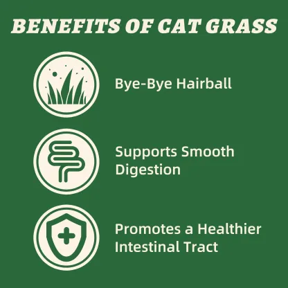 Wellix Cat Grass Topper for Cats & Dogs – 7.05oz Freeze-Dried Chicken, Egg Yolk & Cat Grass, Low-Calorie, Supports Hairball Control & Gut Health-CritterCorner