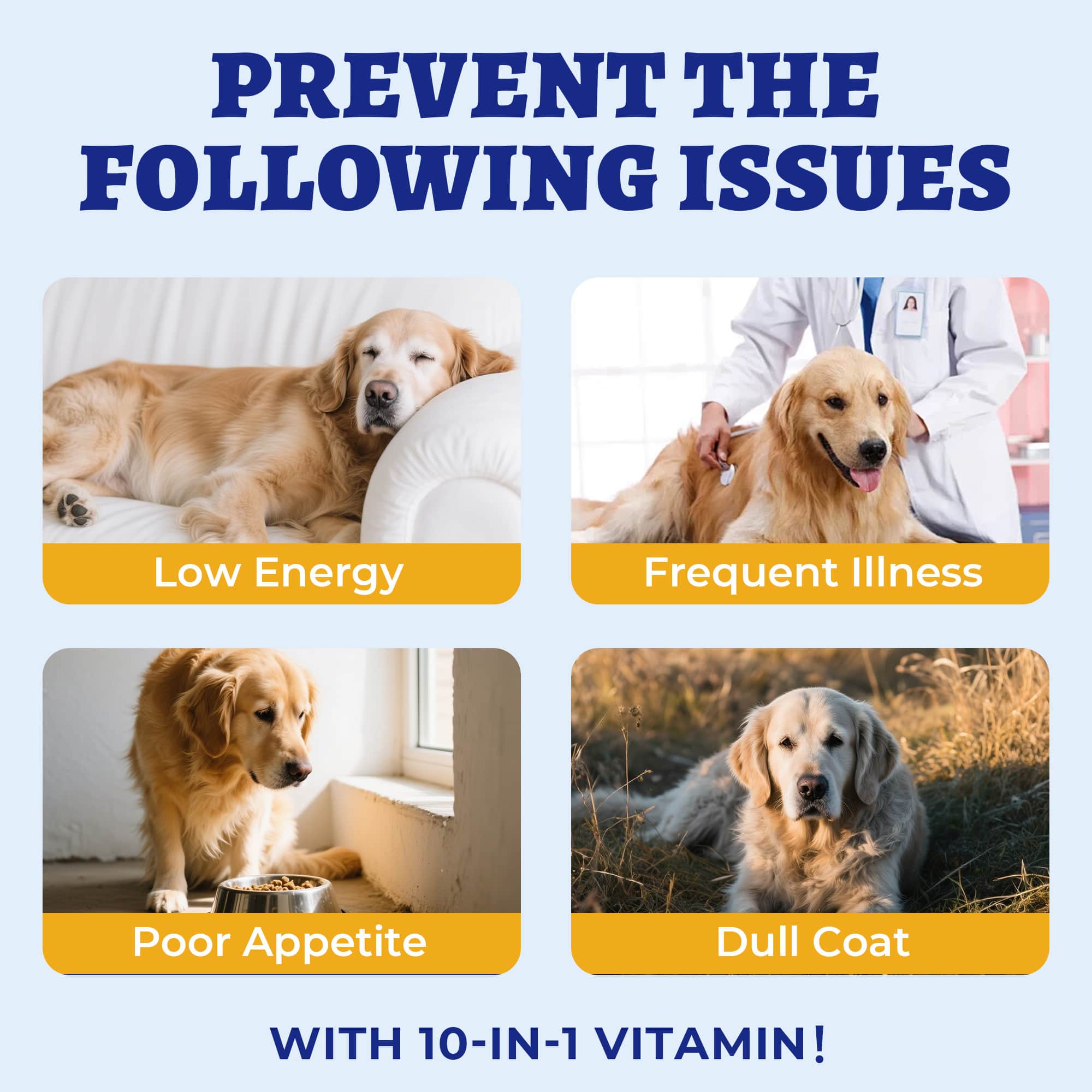 Wellix 10-in-1 Dog Vitamins - Multivitamin Supplement for Immune Support, Hip & Joint, Skin & Coat, Liver & Gut Health - Antioxidant Dog Supplement - 260 Bites-CritterCorner
