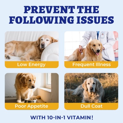 Wellix 10-in-1 Dog Vitamins - Multivitamin Supplement for Immune Support, Hip & Joint, Skin & Coat, Liver & Gut Health - Antioxidant Dog Supplement - 260 Bites-CritterCorner