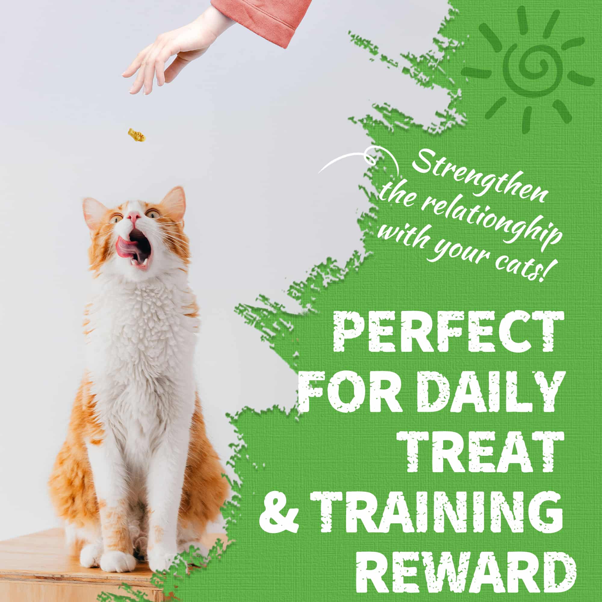JUSTTRY Cat Grass & Chicken Cat Treats - Hairball Control Dental Care High Protein Cat Treats for Indoor Cats, Training Snacks, 16oz-CritterCorner