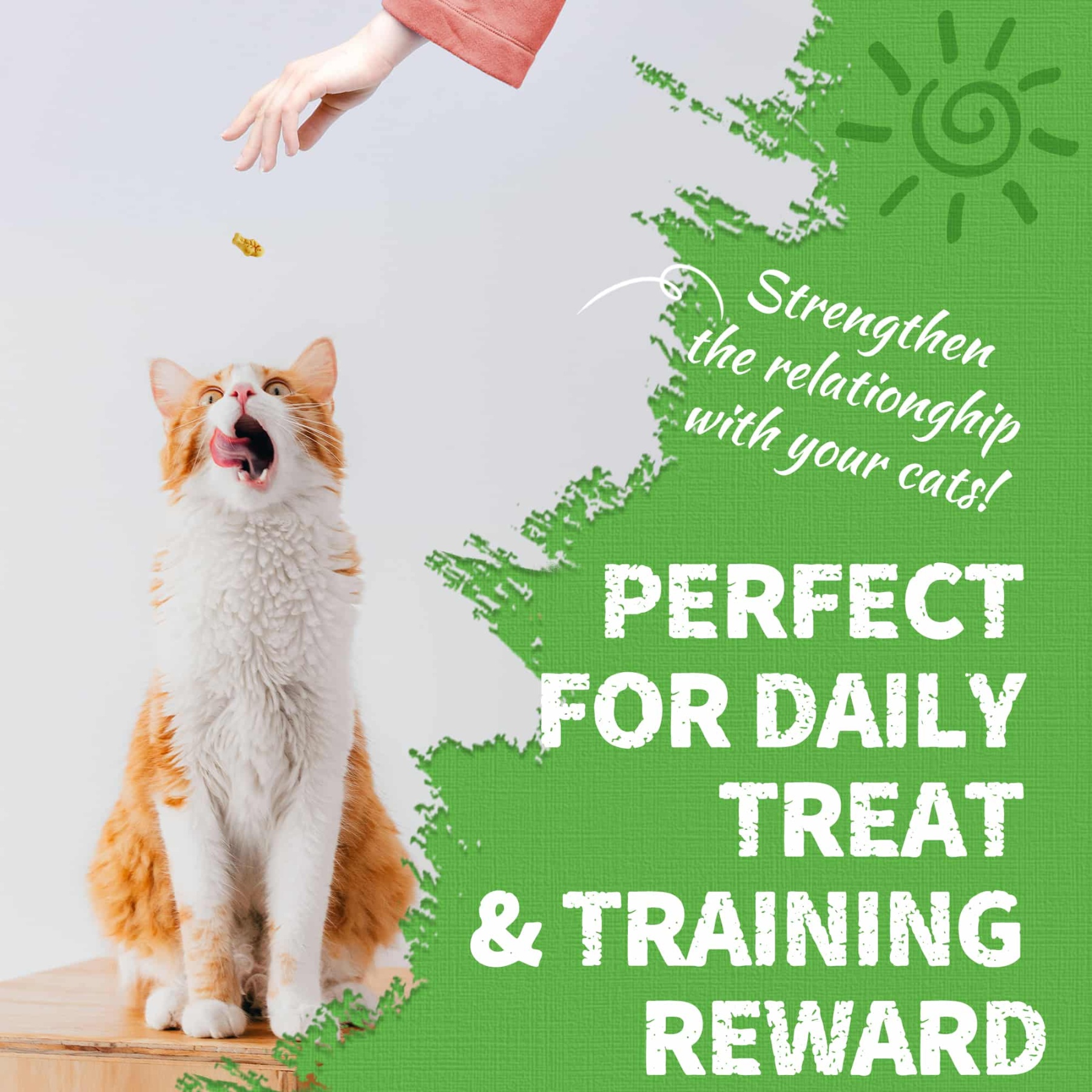 JUSTTRY Cat Grass & Chicken Cat Treats - Hairball Control Dental Care High Protein Cat Treats for Indoor Cats, Training Snacks, 16oz-CritterCorner