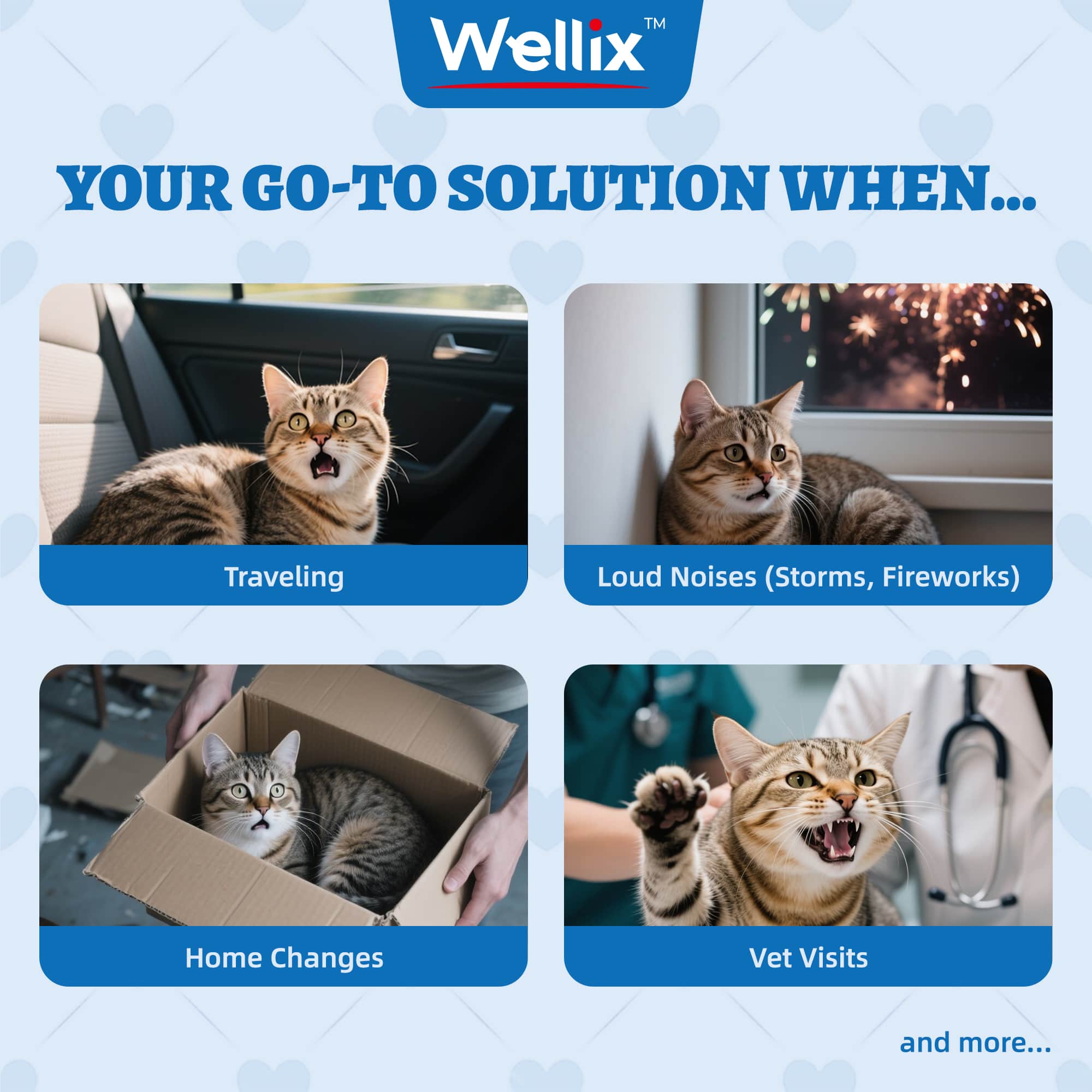 Wellix Calming Treats for Cats – 13.5oz Chicken-Flavored with Chamomile & Melatonin, Aids Relaxation & Anxiety Relief for Indoor Cats & Kittens-CritterCorner