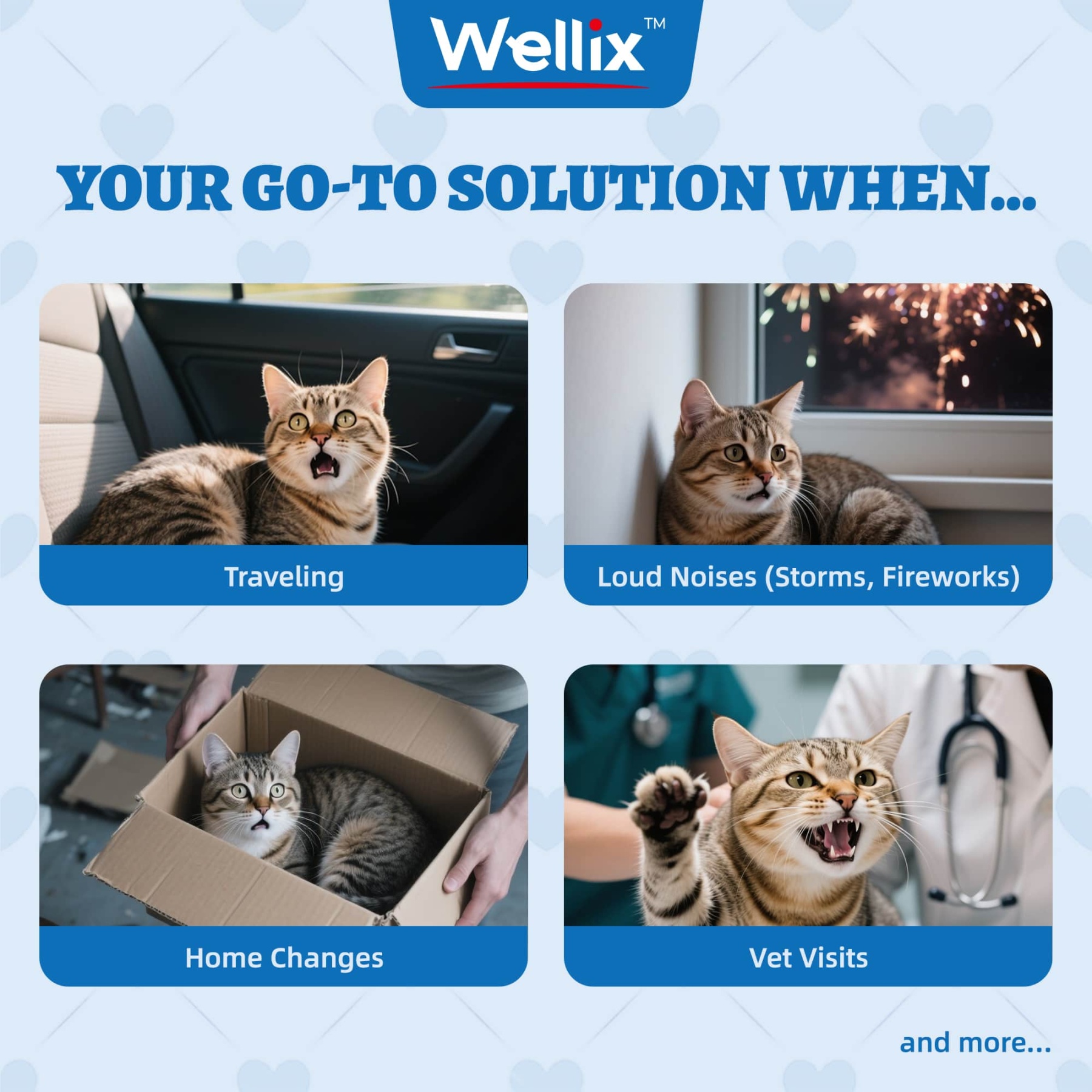 Wellix Calming Treats for Cats – 13.5oz Chicken-Flavored with Chamomile & Melatonin, Aids Relaxation & Anxiety Relief for Indoor Cats & Kittens-CritterCorner