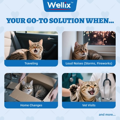 Wellix Calming Treats for Cats – 13.5oz Chicken-Flavored with Chamomile & Melatonin, Aids Relaxation & Anxiety Relief for Indoor Cats & Kittens-CritterCorner