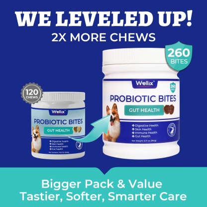 Wellix Probiotics for Dogs - Dog Probiotics & Prebiotics with Pumpkin for Digestive Health, Allergy & Itchy Skin Relief - Natural Gut Health Supplement - 260 Bites-CritterCorner