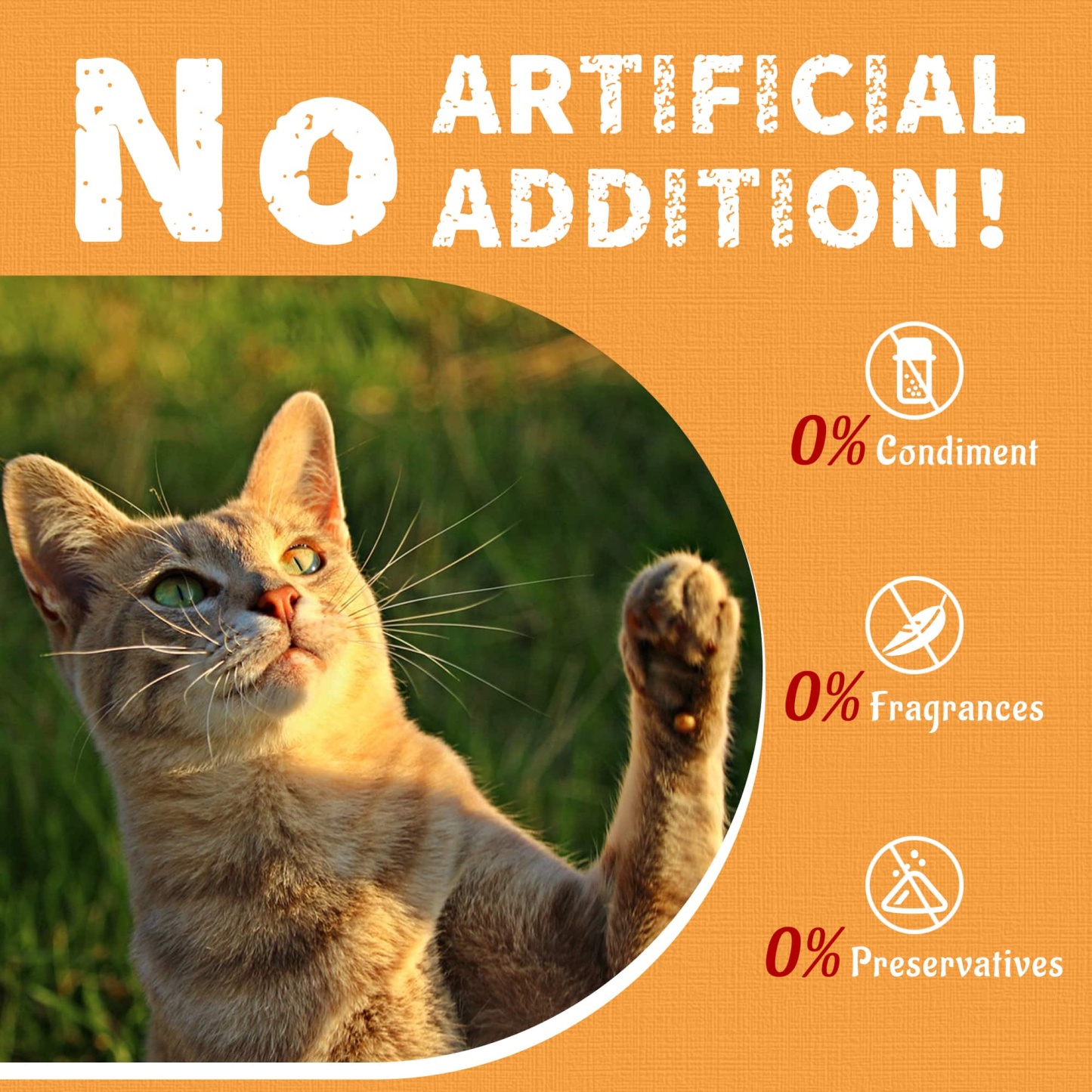 JUSTTRY Freeze-Dried Krill & Chicken Cat Treats – Real Antarctic Krill with Omega-3 for Skin & Coat Health, Dental Care & Training Snacks, High Protein 16oz-CritterCorner