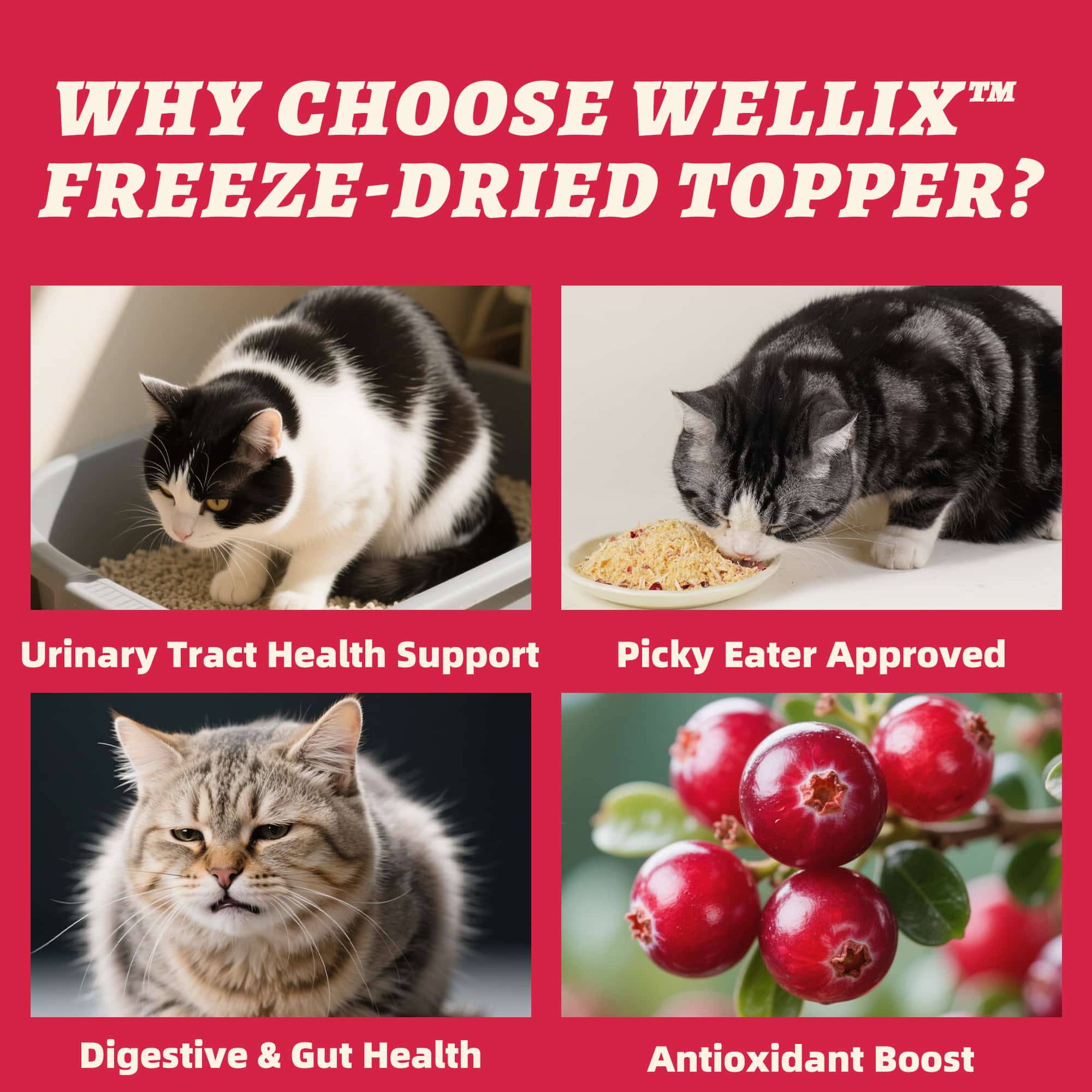Wellix Cranberry Topper for Cats & Dogs – 7.05 oz Freeze Dried Cranberry, Egg Yolk & Chicken Formula, Low-Calorie & Tasty, for Urinary Tract Function & Antioxidant Defense-CritterCorner