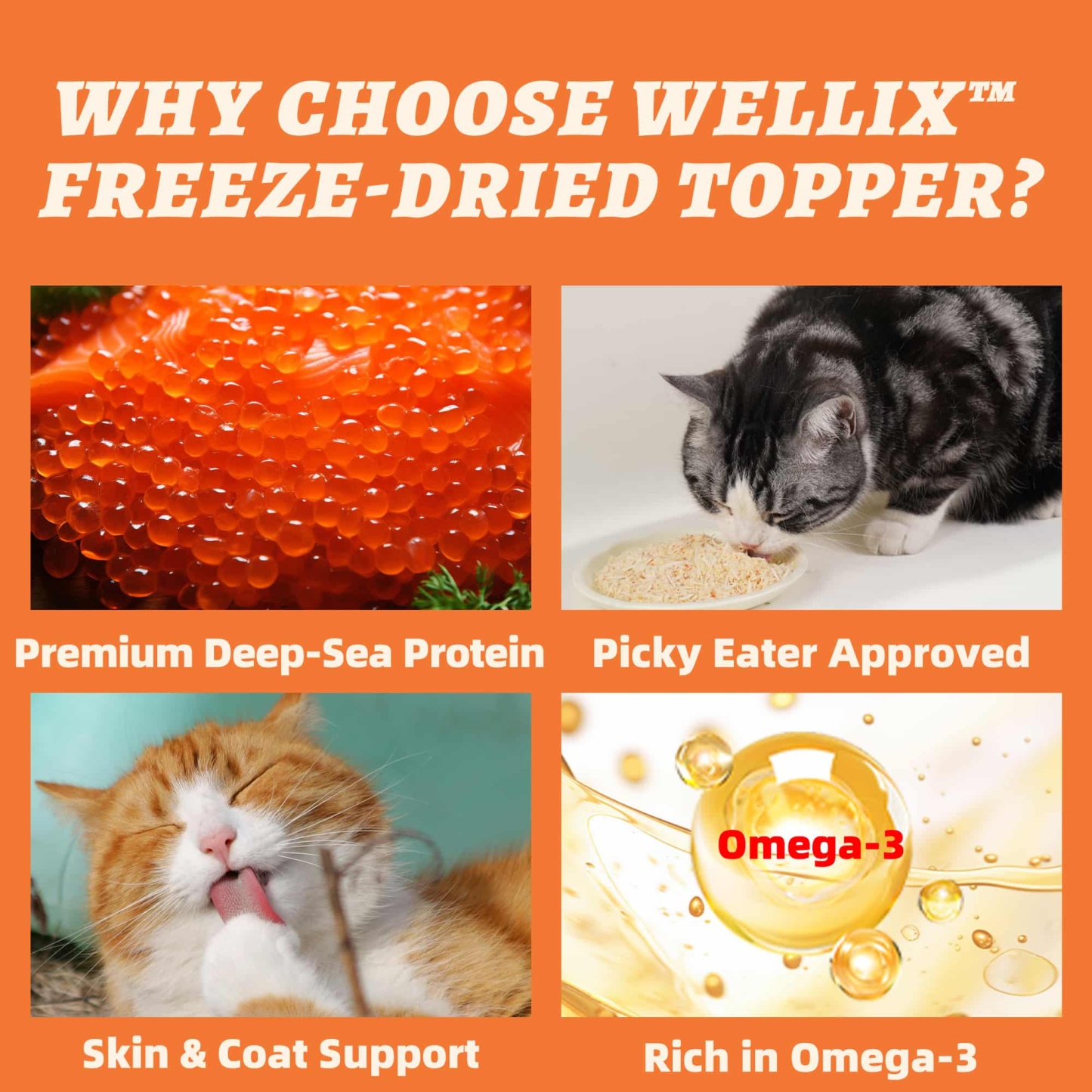 Wellix Salmon Roe Topper for Cats & Dogs – 7.05 oz Freeze Dried Salmon Roe, Egg Yolk & Chicken Formula, Rich in Omega-3, for Antioxidant Defense & Skin & Coat Vitality-CritterCorner