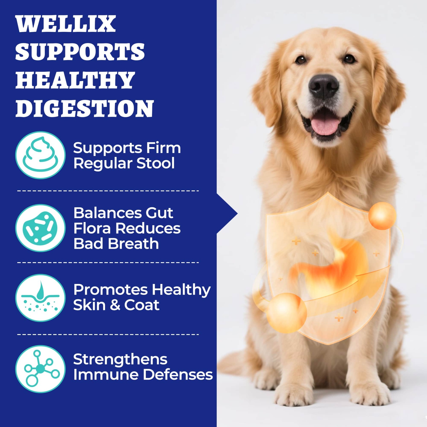 Wellix Probiotics for Dogs - Dog Probiotics & Prebiotics with Pumpkin for Digestive Health, Allergy & Itchy Skin Relief - Natural Gut Health Supplement - 260 Bites-CritterCorner