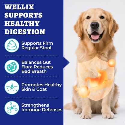 Wellix Probiotics for Dogs - Dog Probiotics & Prebiotics with Pumpkin for Digestive Health, Allergy & Itchy Skin Relief - Natural Gut Health Supplement - 260 Bites-CritterCorner