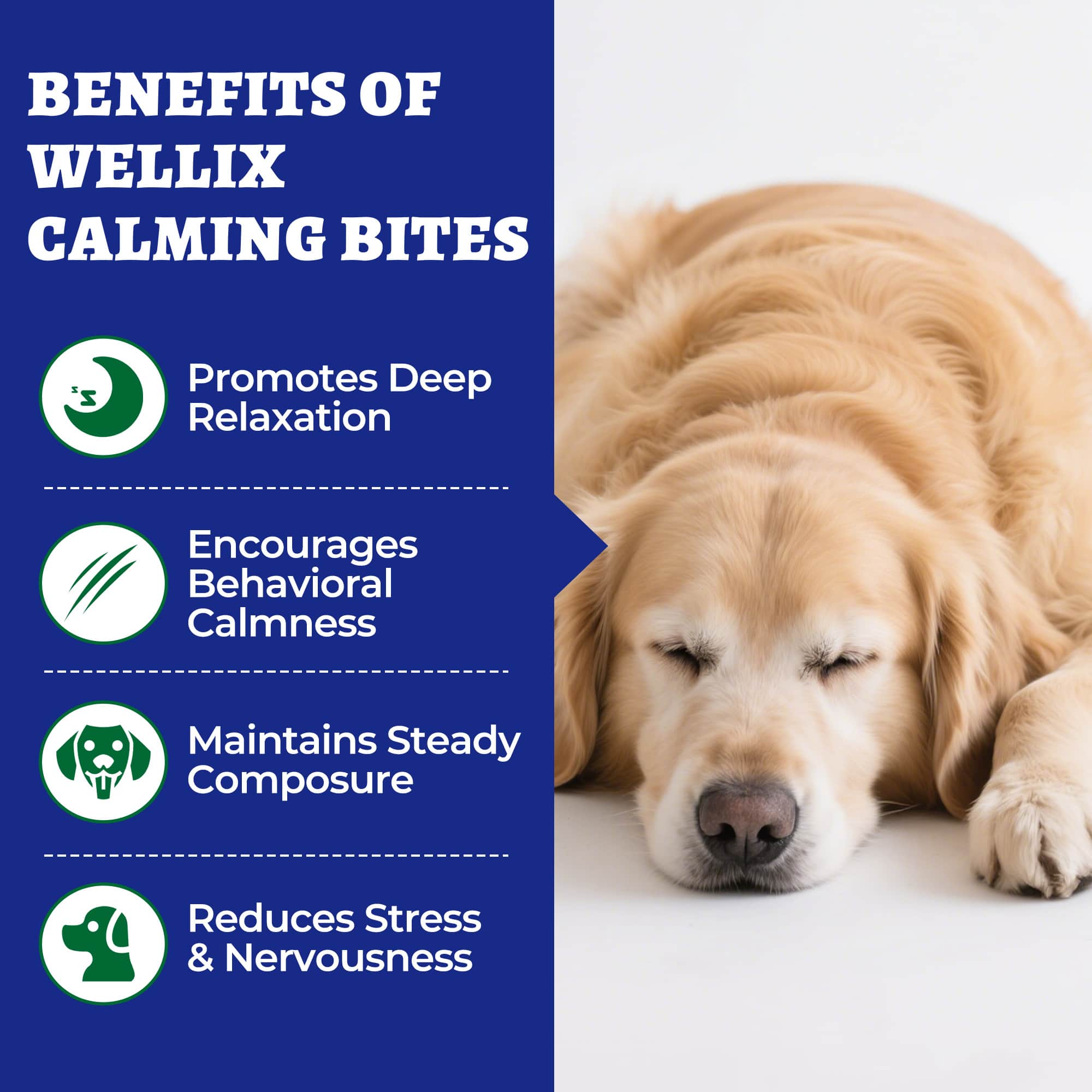 Wellix Calming Bites for Dogs – 260 Counts with Melatonin, L-Theanine & Valerian Root for Anxiety & Stress Relief, Puppies & Dogs-CritterCorner