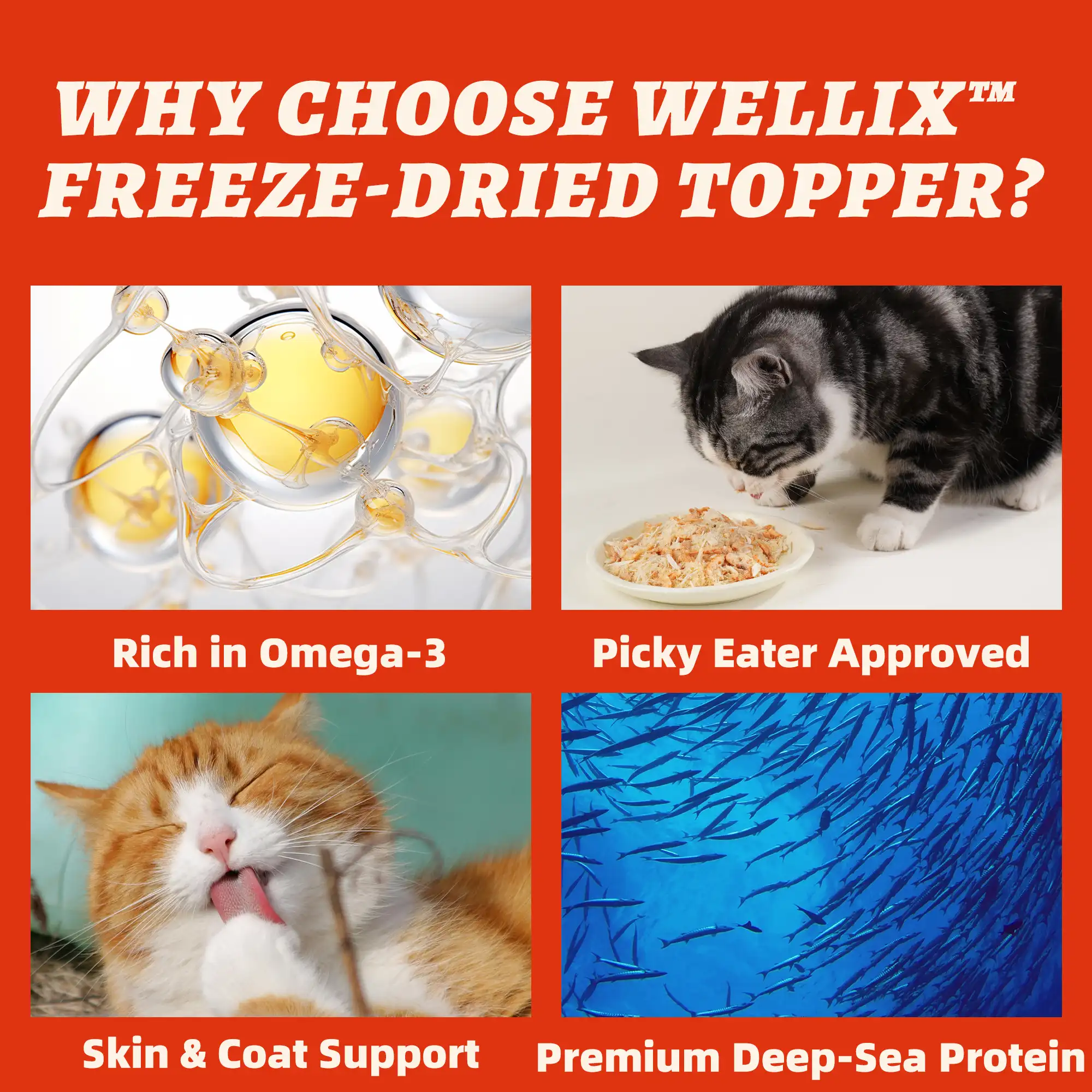 Wellix Antarctic Krill Topper for Cats & Dogs – 7.05 oz Freeze Dried Krill, Egg Yolk & Chicken Formula, Low-Calorie, for Cognitive, Skin & Coat Health-CritterCorner
