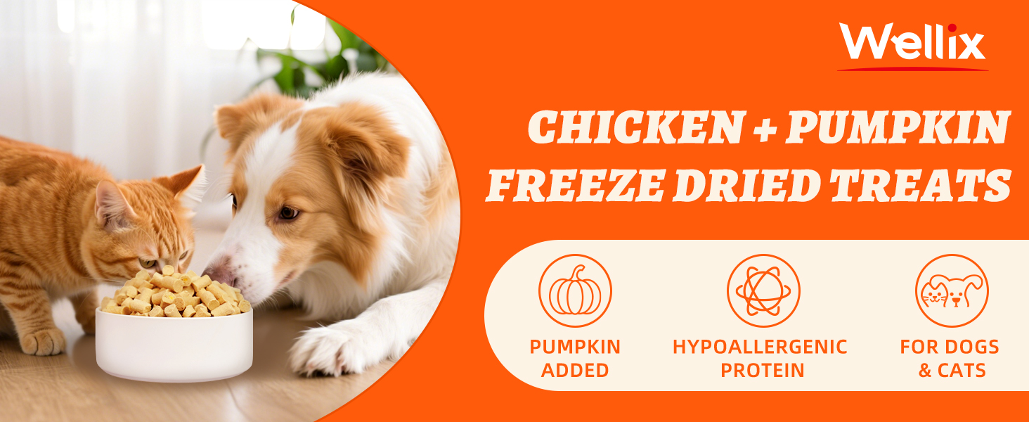 cat chicken freeze dried treats