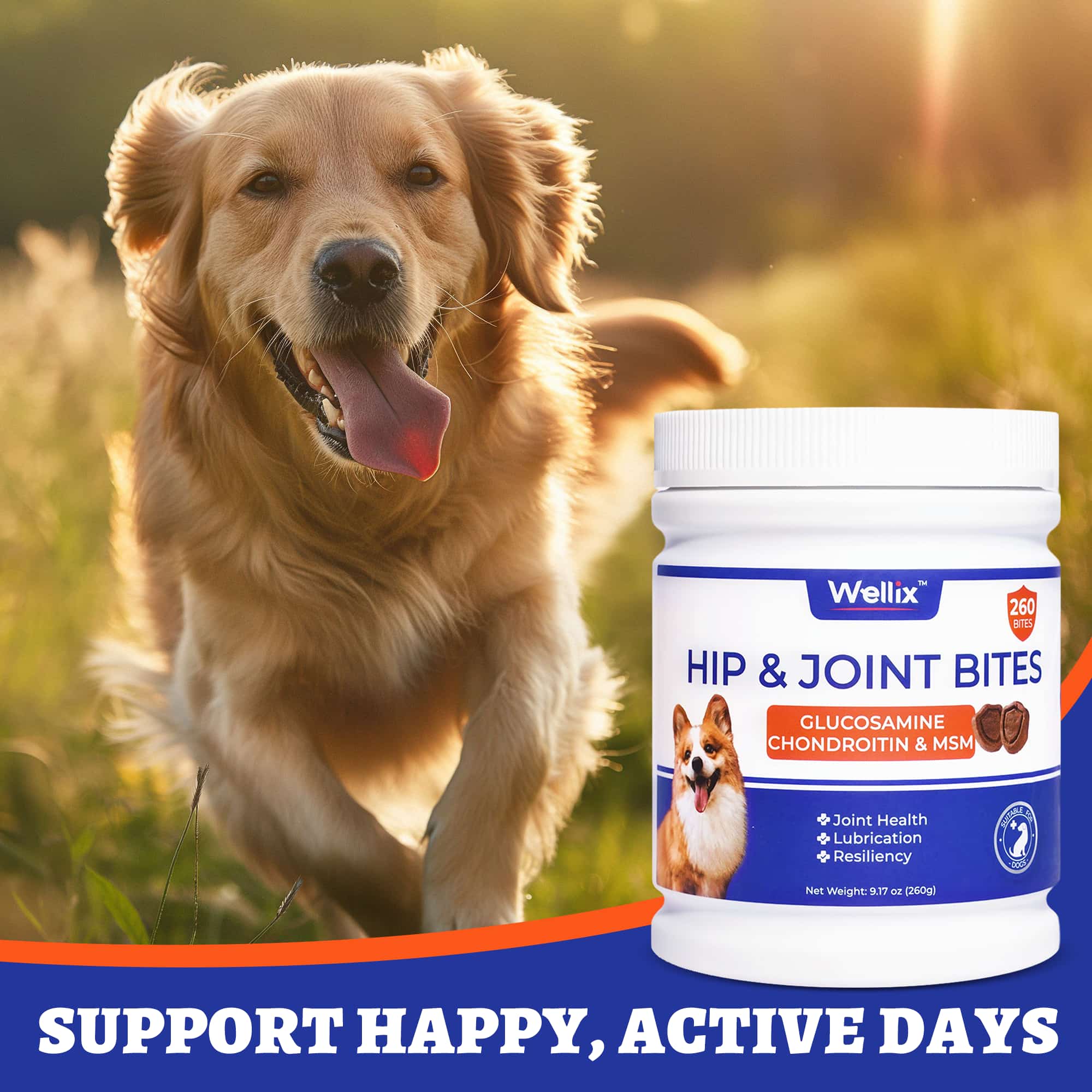 Wellix Dog Hip & Joint Bites – 260 Count Joint Supplement with Glucosamine, Chondroitin & MSM for Arthritis Pain Relief-CritterCorner