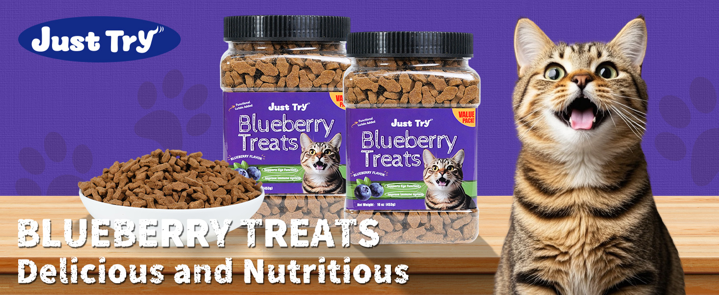 Blueberry Cat Treats for Indoor Cats
