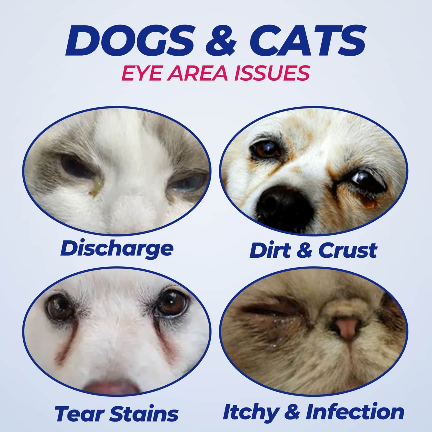 Wellix Pet Eye Wipes – 110 Wipes for Tear Stain, Debris & Discharge Cleaning-CritterCorner