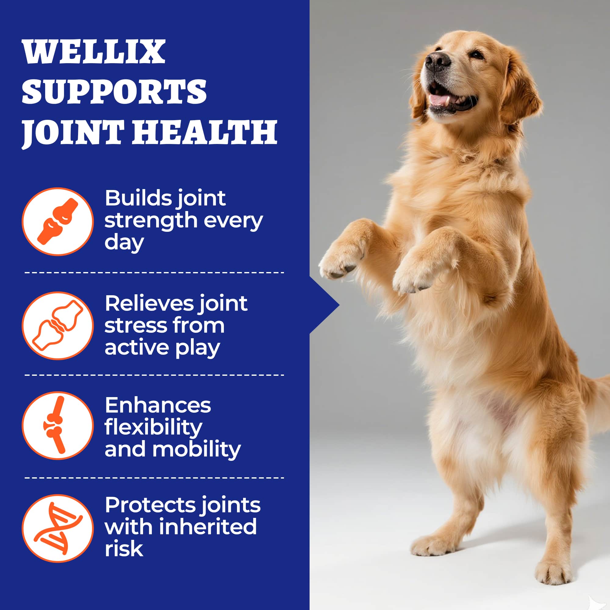 Wellix Dog Hip & Joint Bites – 260 Count Joint Supplement with Glucosamine, Chondroitin & MSM for Arthritis Pain Relief-CritterCorner